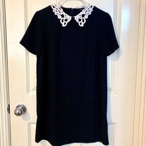 Lace Collar Dress